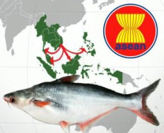 ASEAN is really a market that exporters should pay attention in the coming time