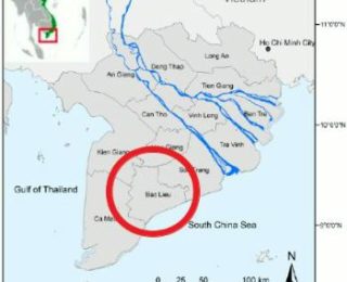 Bac Lieu Province: Developing models of clean and safe rice and shrimp