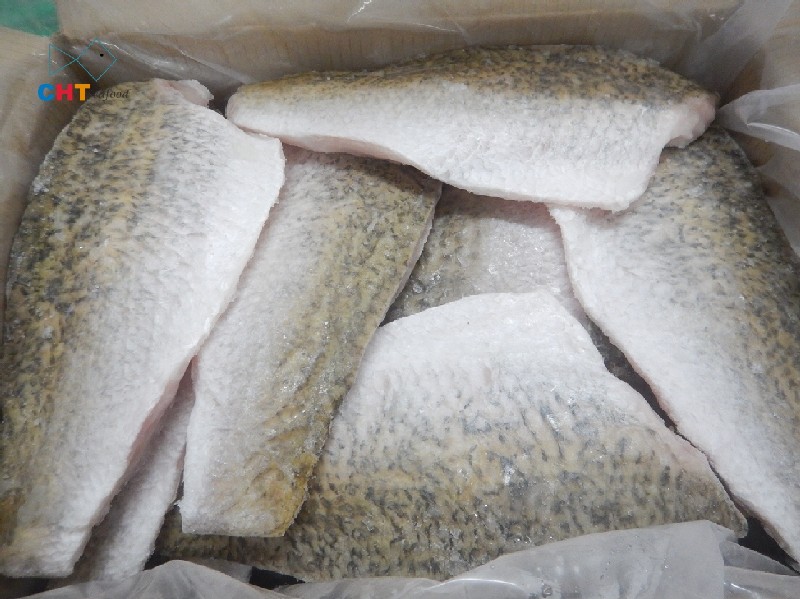 BARRAMUNDI FILLET - SKIN ON - 500UP