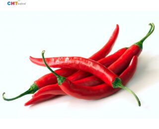 RED CHILI