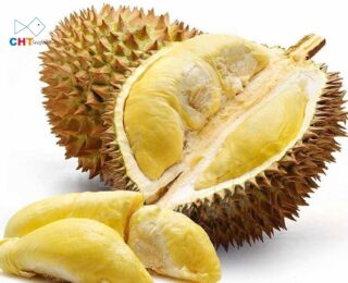 DURIAN