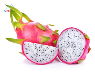 DRAGON FRUIT