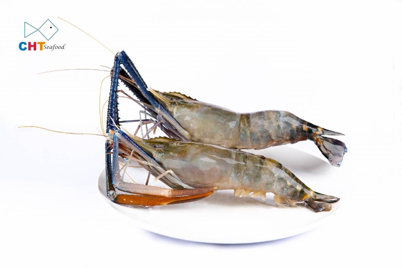 SCAMPI